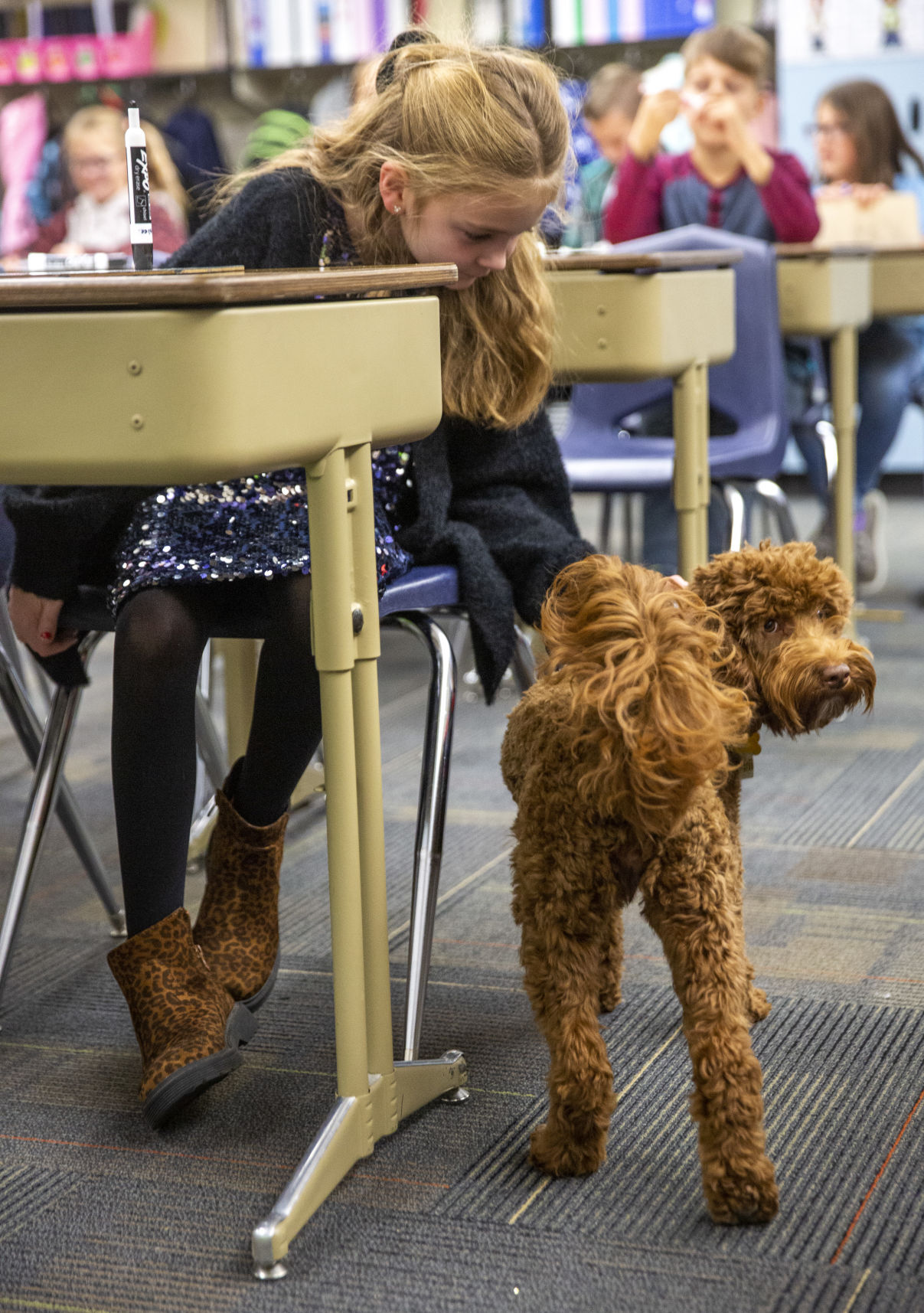 Therapy dogs at White Pine Elementary School